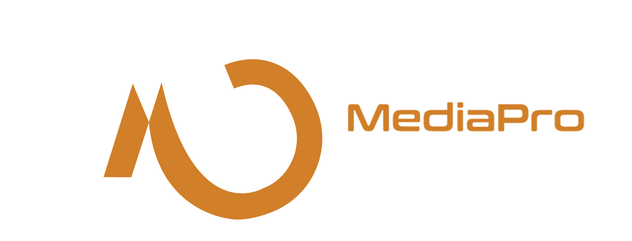 Footer Logo